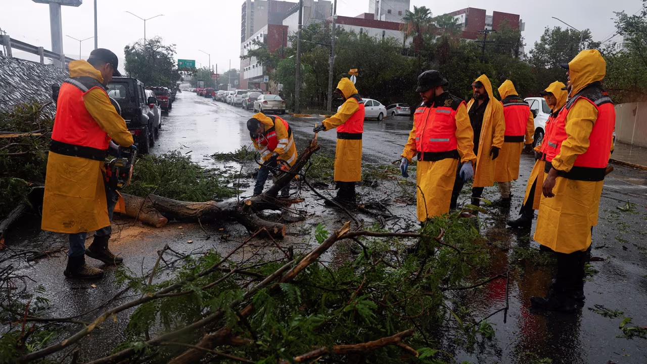 Government employees remove a fallen tree from the roadway as tropical storm Alberto hits, in Monterrey, Mexico on June 20.