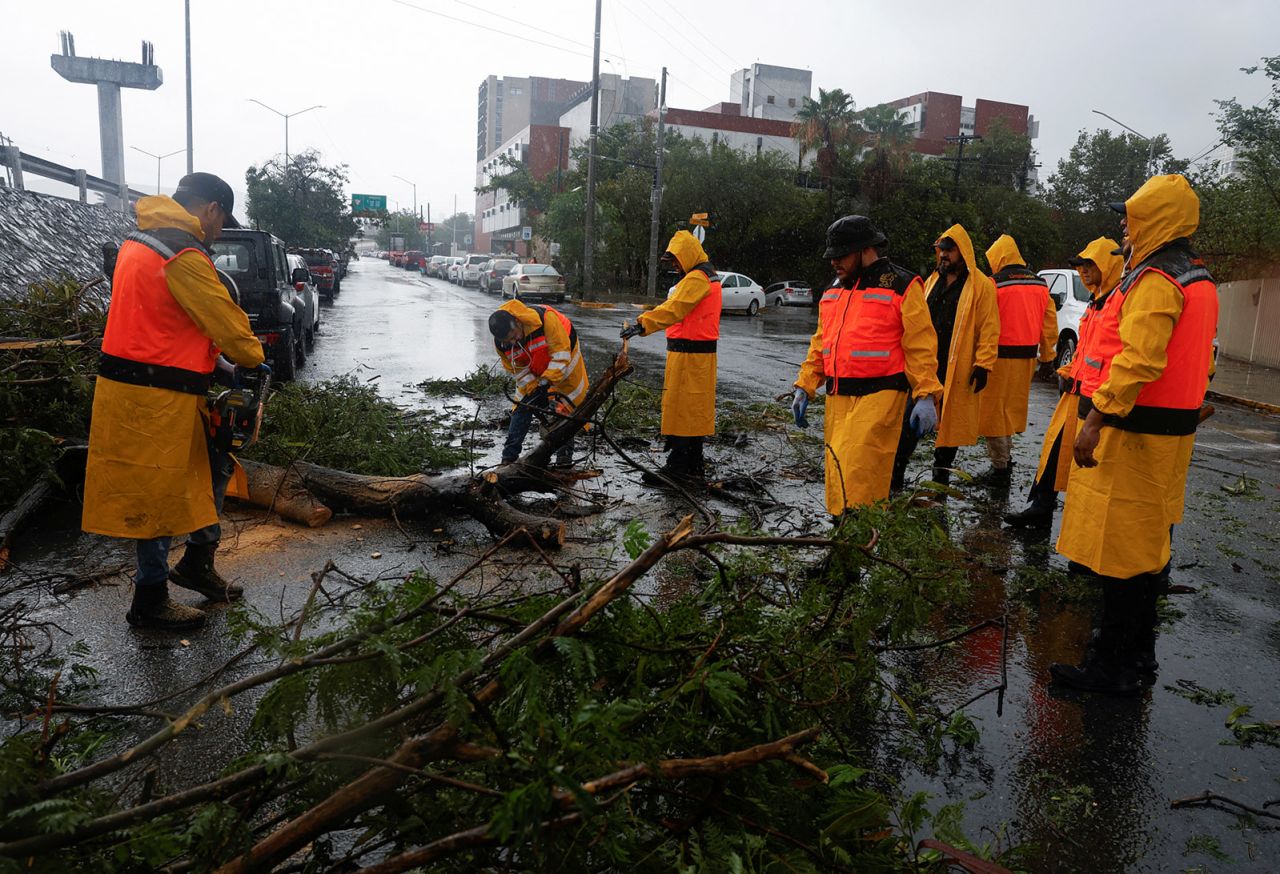 Government employees remove a fallen tree from the roadway as tropical storm Alberto hits, in Monterrey, Mexico on June 20.