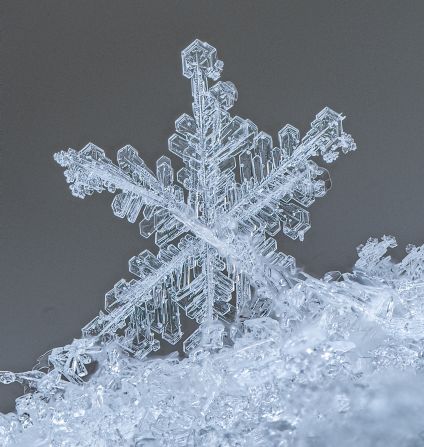 His macro photography also extends beyond living creatures, with images like this snowflake.