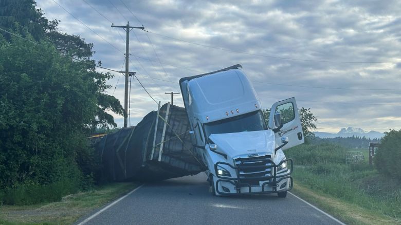 A commercial truck hauling an estimated 70,000 pounds of honeybee hives overturned near Lynden, Washington, on Friday, May 30, 2025, unleashing about 250 million honeybees into the air.