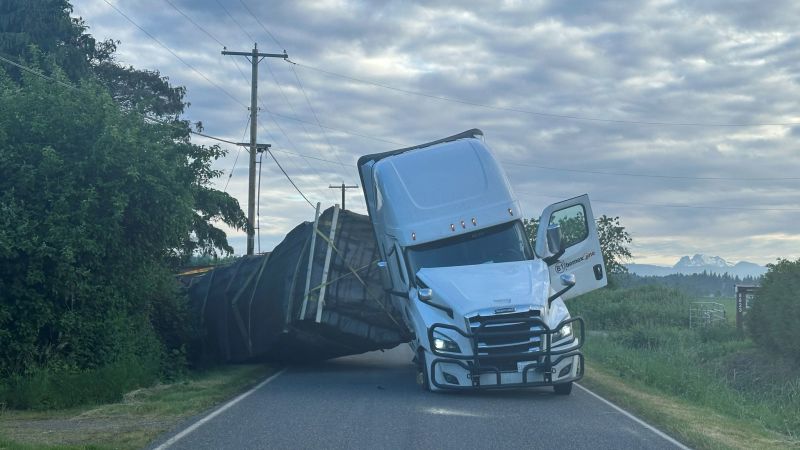 Millions of honeybees abuzz after truck overturns in Washington state