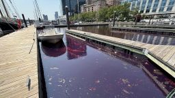 The Maryland Department of the Environment said on Facebook its Emergency response team was responding to an approx. 100-gallon oil spill of unknown origin in Fells Point, Baltimore. 

The red color is coming from dye in the oil, the Department added. The Coast Guard and a private contractor are also assisting with the cleanup, per the Dept.