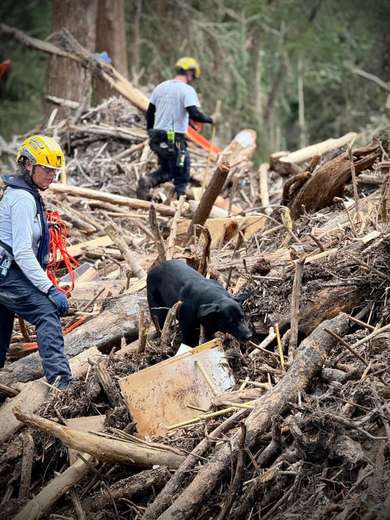 Workers and a dog look through piles of debris after flooding in Texas.