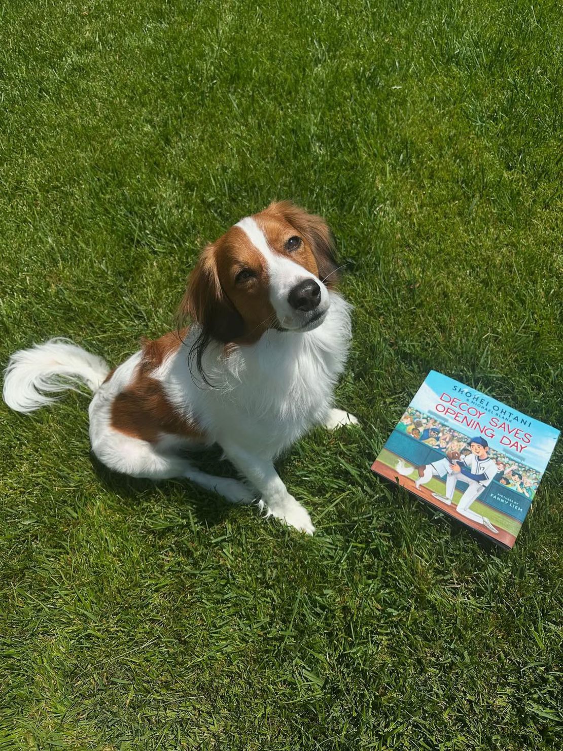 Decoy poses next to a copy of “Decoy Saves Opening Day.”