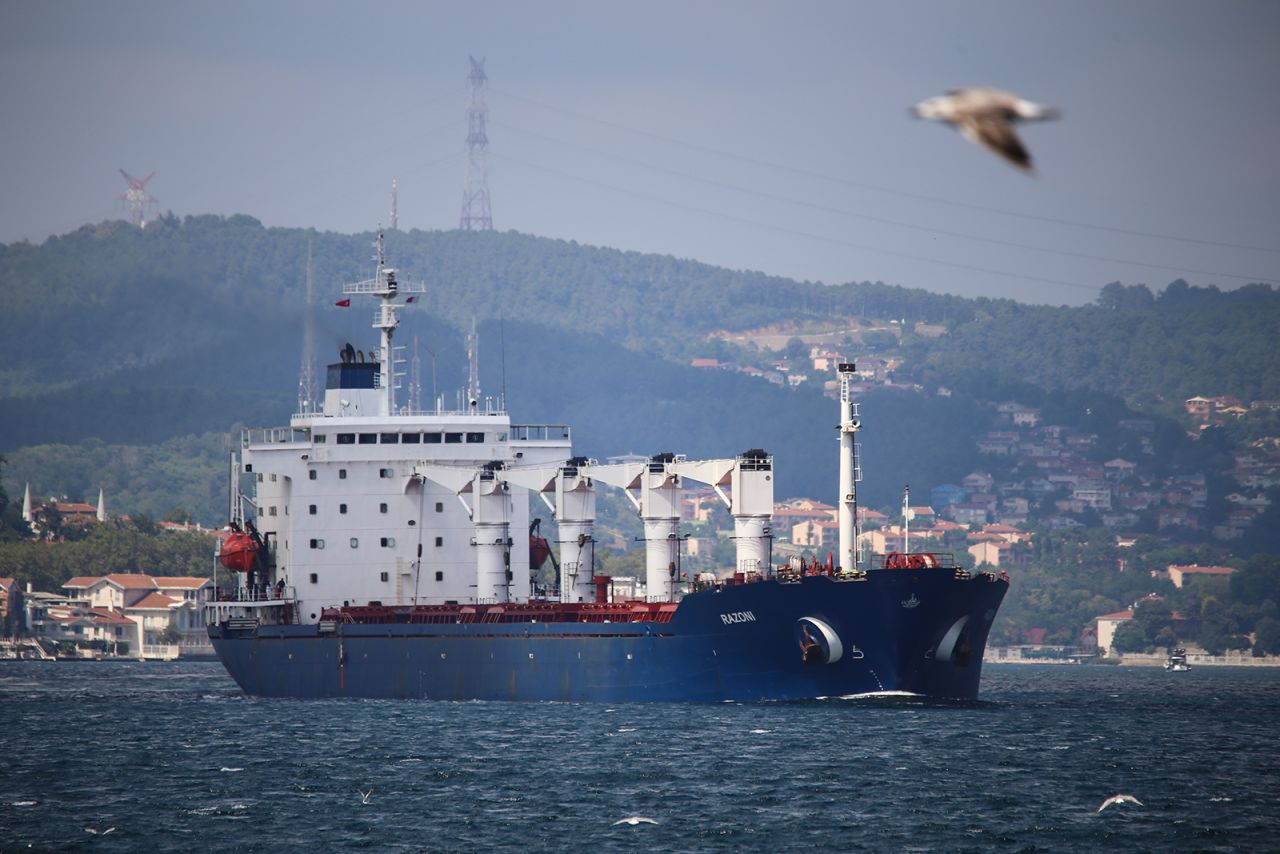 The cargo ship Razoni, which departed from Odesa within the framework of the grain shipment agreement, is pictured in Istanbul, Turkey on August 3.