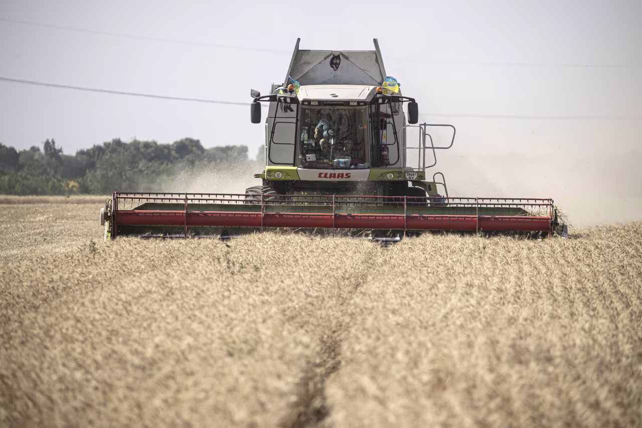 Farmers harvest grain in Odesa, Ukraine, on July 4.