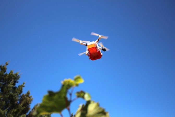 Vergelegen Wine Estate, in South Africa, is dropping predatory wasp pupae from drones in an effort to control pests.