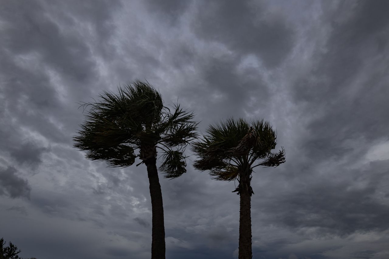 Palm trees blow in the wind ahead of Hurricane Idalia in Cedar Key, Florida, on August 29.