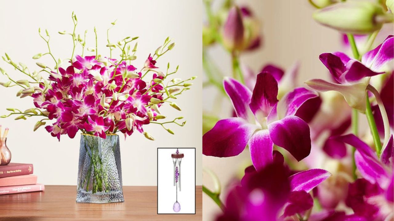 6. Exotic Breeze™ Orchids.