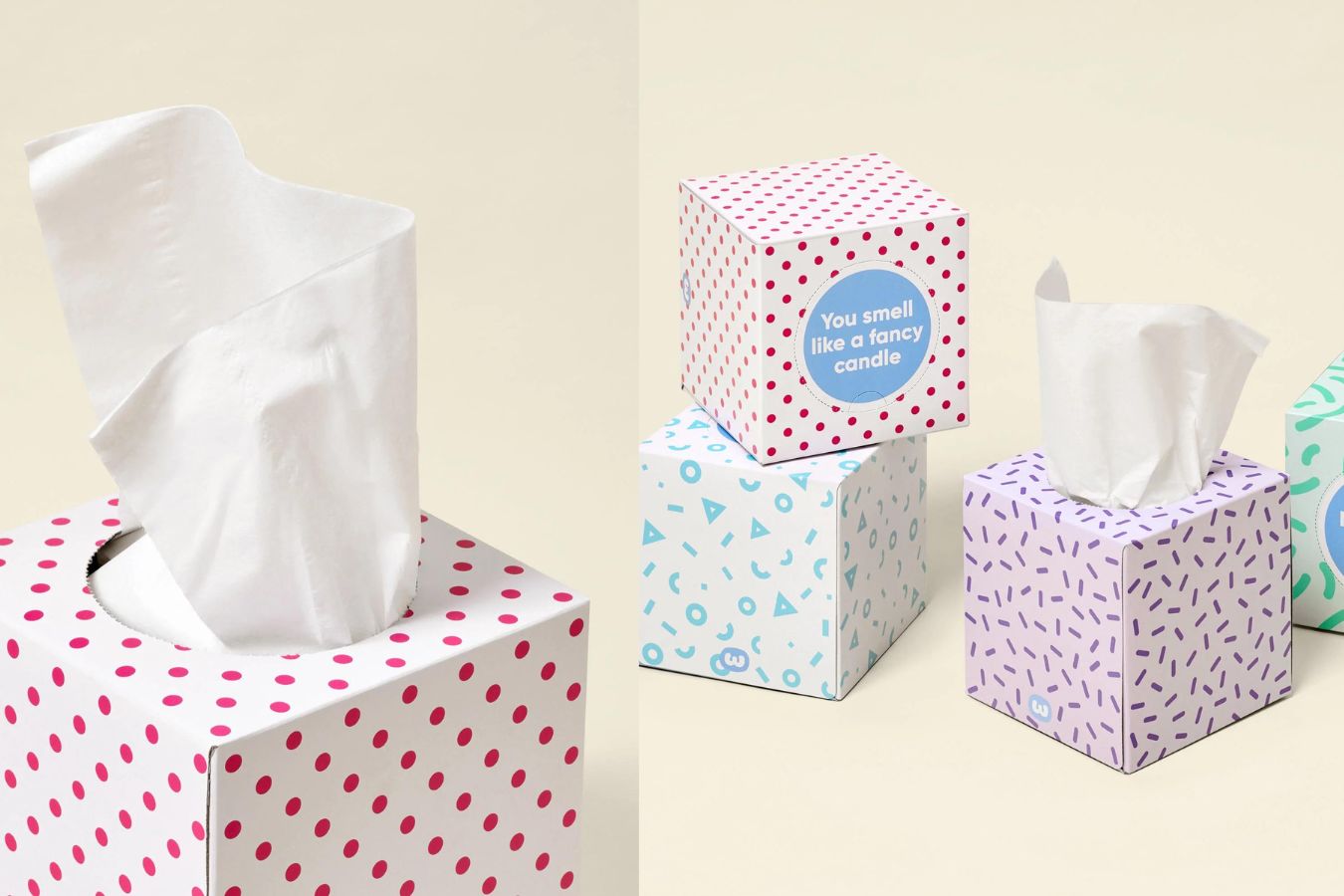 Forest Friendly Tissues - 12 Boxes