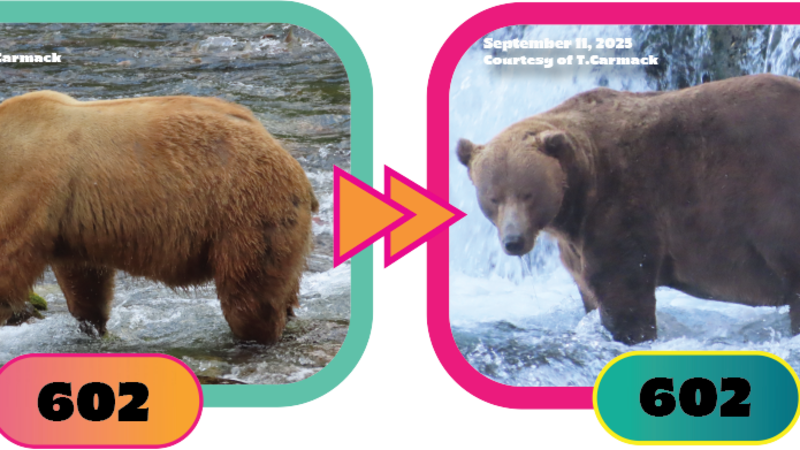 Вижте всички теми Връзка копирана Следвайте 23 септември 2025 г