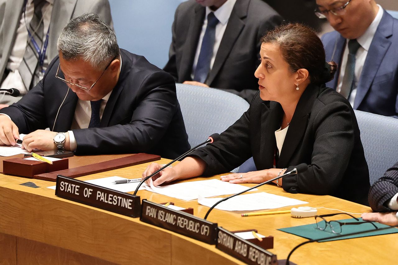 Feda Abdelhady Nasser, the deputy permanent observer of the State of Palestine to the UN, speaks during a UN Security Council meeting at the United Nations Headquarters on Wednesday, July 31, in New York City. 