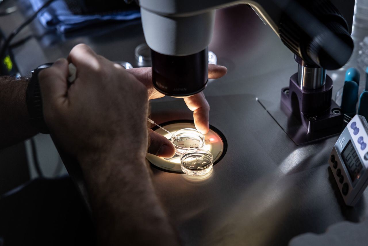 A senior embryologist at West Coast Fertility Centers in Fountain Valley, California, adds media to petri dishes containing embryos before freezing the embryos on February 29.