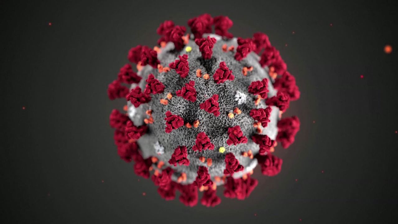 An illustration of the novel coronavirus.