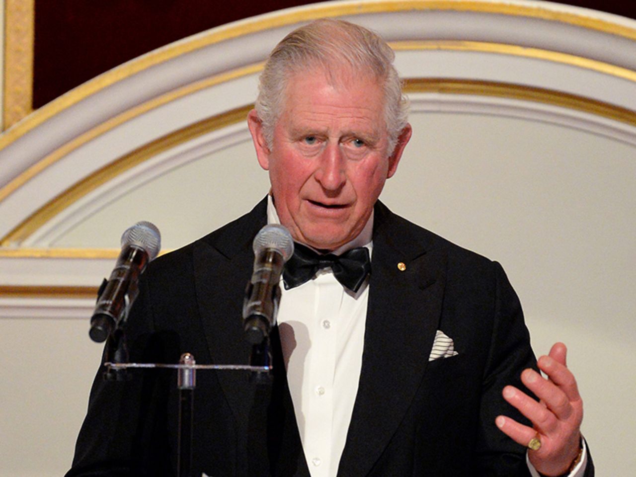 Prince Charles makes a speech as he attends a dinner in aid of the Australian bushfire relief and recovery effort at Mansion House on March 12 in London.