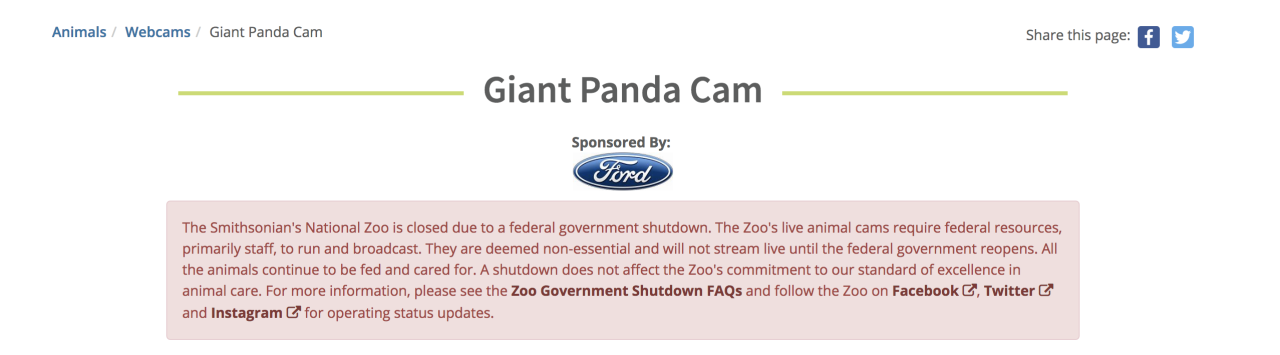 Here's the message currently posted on the Panda cam's website.