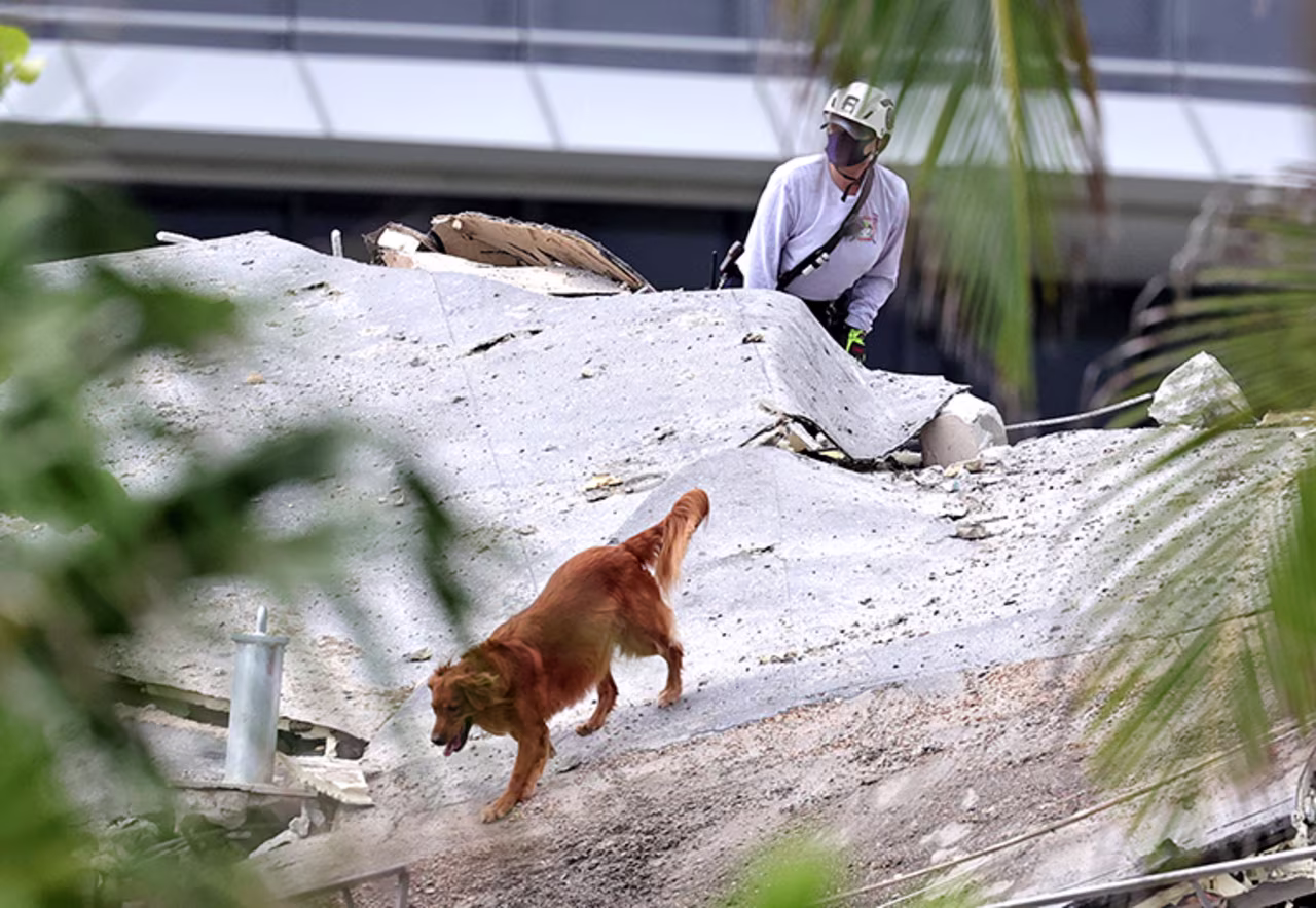 Fire rescue personnel conduct search and rescue in the rubble.
