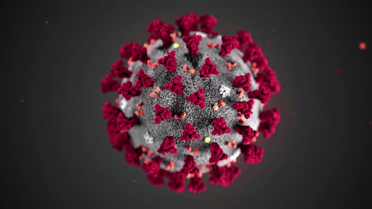 This illustration, created at the Centers for Disease Control and Prevention (CDC), reveals ultrastructural morphology exhibited by coronaviruses. 