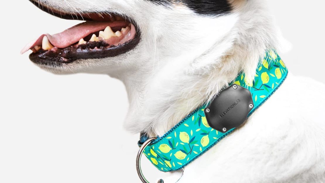 airtag tips tagvault pet collar cnnu