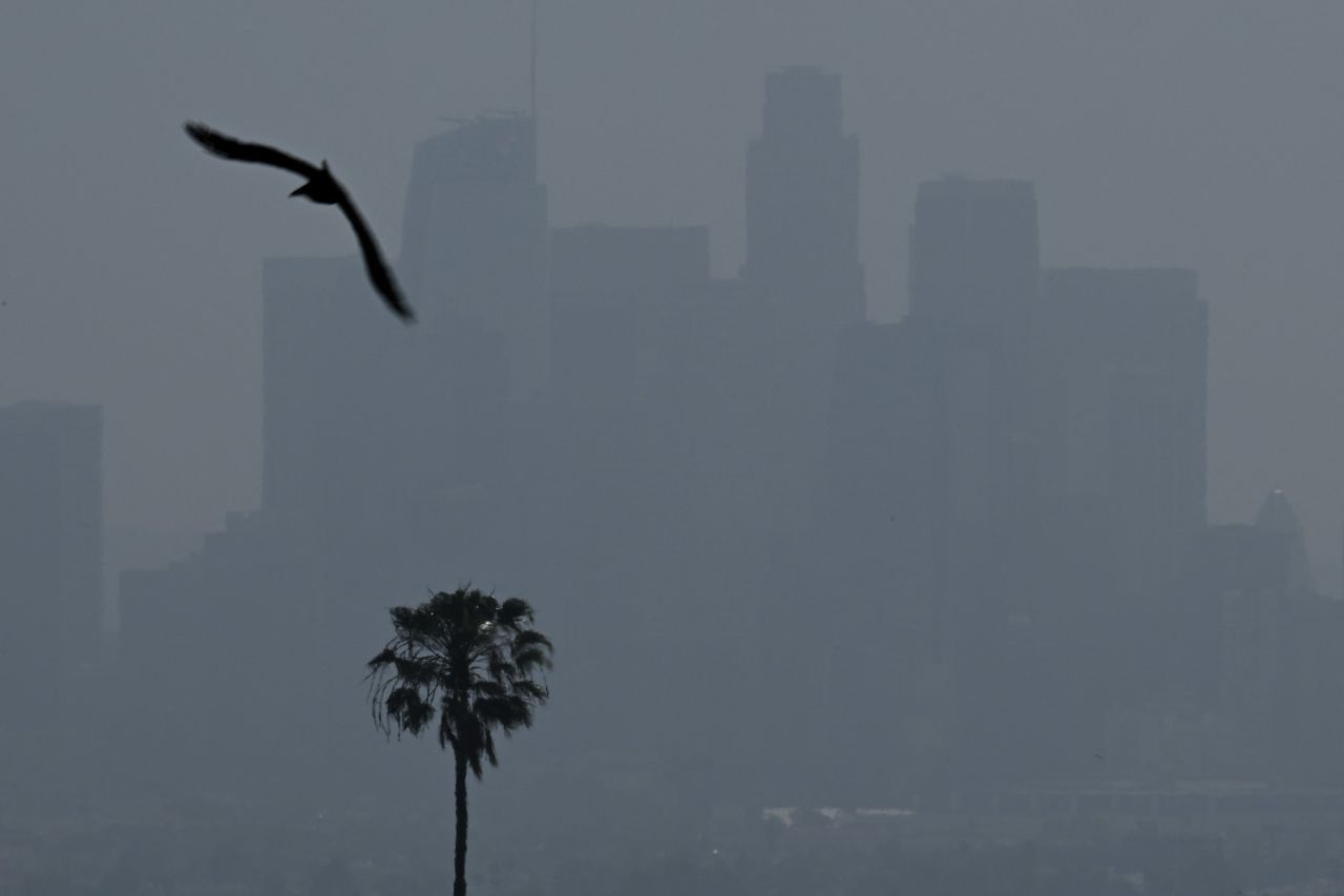 A bird flies past a palm tree standing in front of the downtown Los Angeles, California skyline obscured by haze following a wildfire north of the city on June 20.