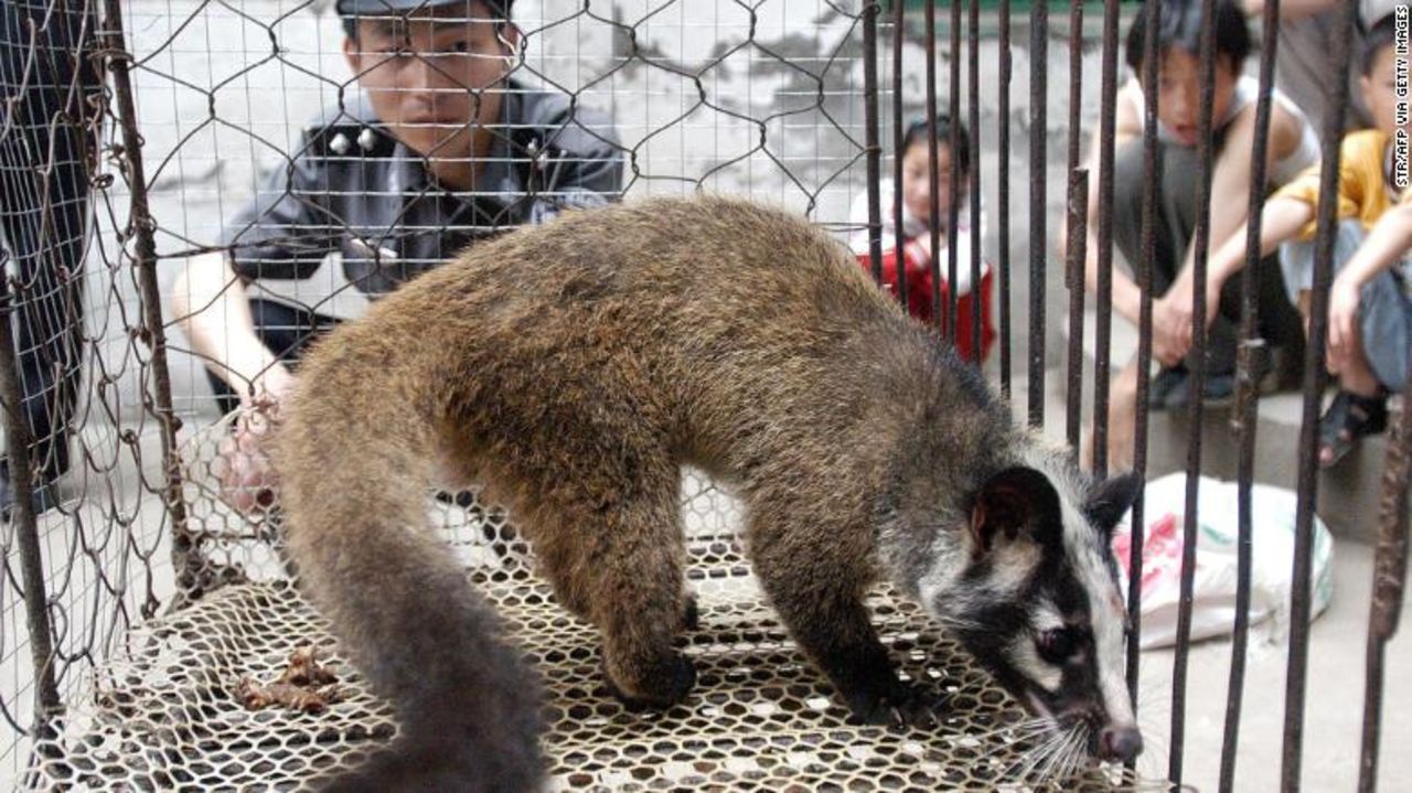 A photo taken in May 2003 shows a police officer watching over a civet cat captured in the wild by a farmer in Wuhan, China.