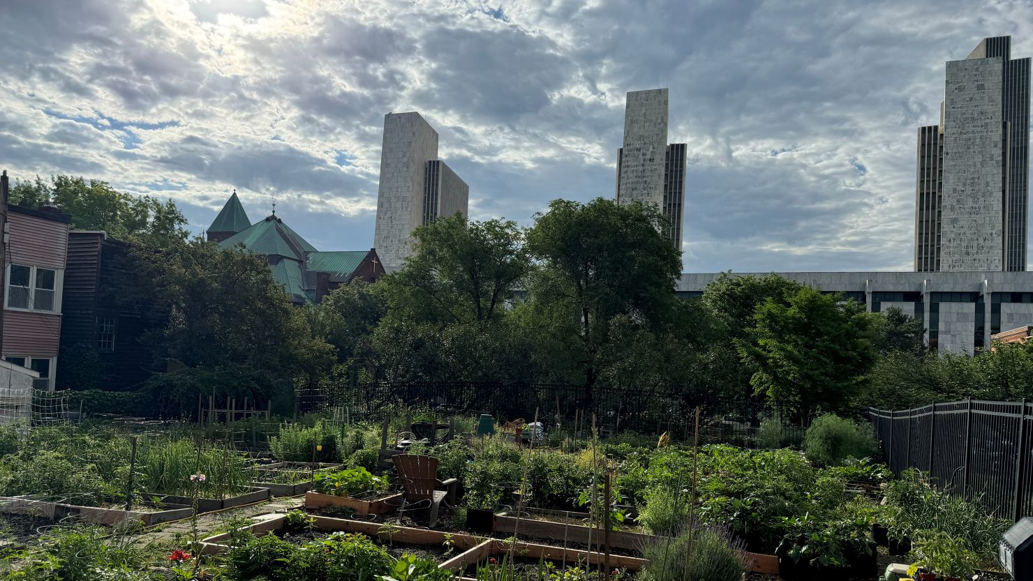 Hudson Avenue Community Garden provides a neighborhood green space in downtown Albany, New York.