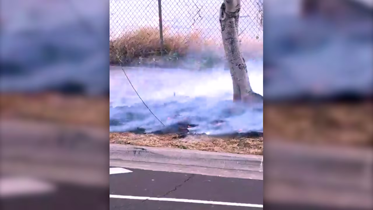 Shane Treu showed the downed powerlne during a Facebook Live video.