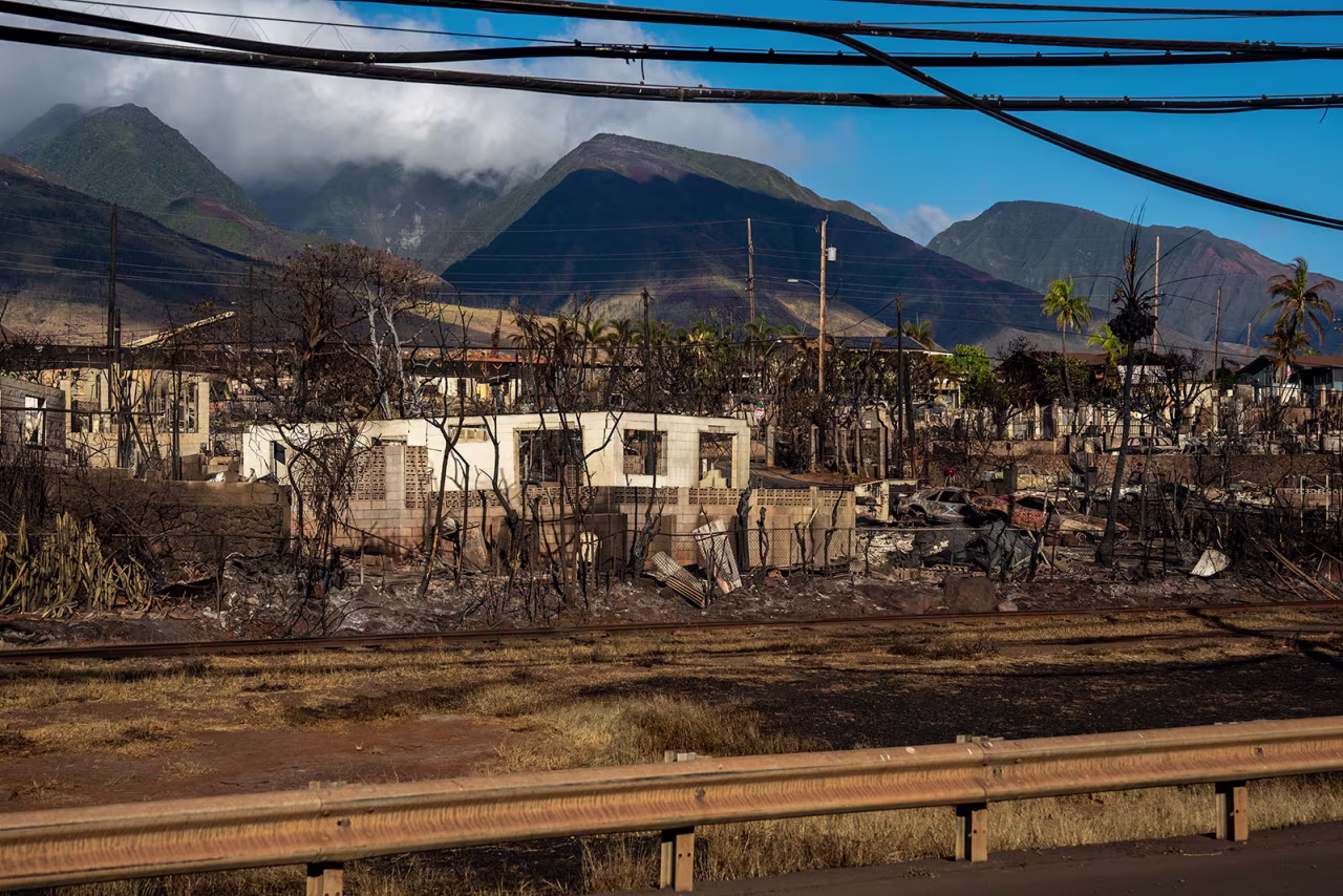 Burned out homes are seen in Lahaina, Hawaii, on August 13.