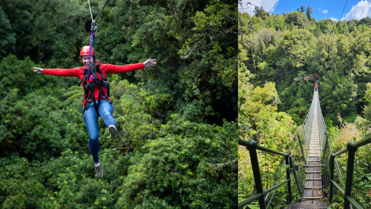 9. Ziplining Forest Adventure — The Original Canopy Tour Rotorua.png