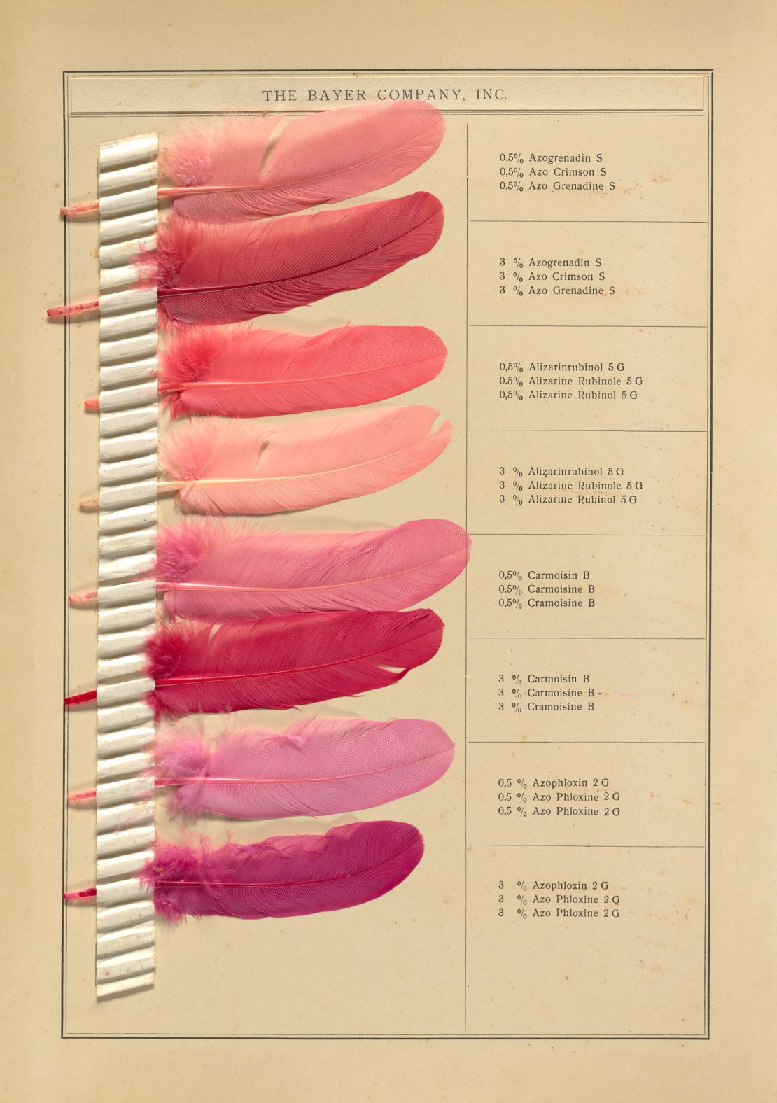 Discolorations On Feathers, a sample book by the Bayer Company showing different shades of pink.