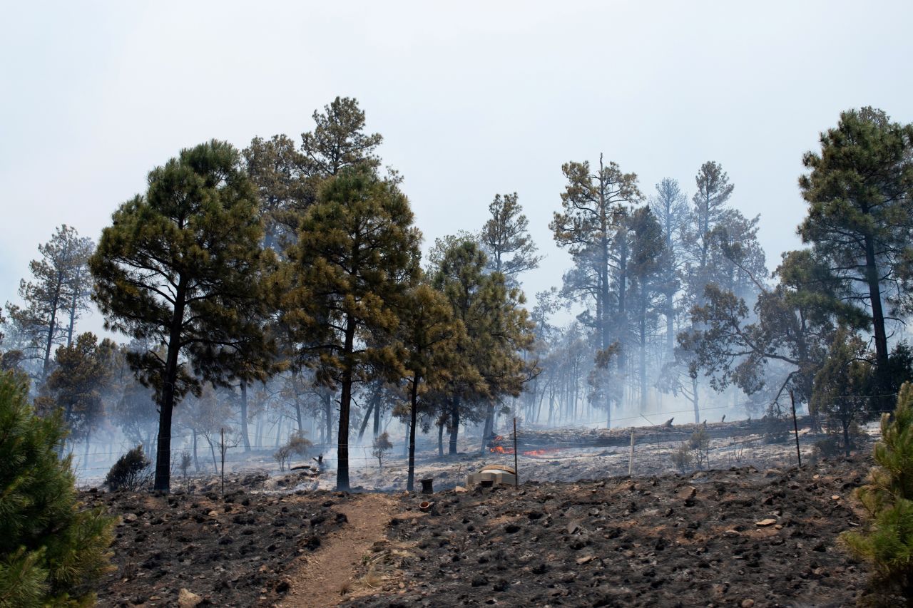 Smoke rises as the South Fork Fire continues to burn in northern Ruidoso, New Mexico, on June 18.