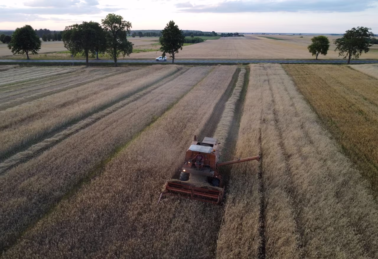 A combine harvester reaps grain from a field near Popowo Koscielne, Poland, on July 28, 2022.
