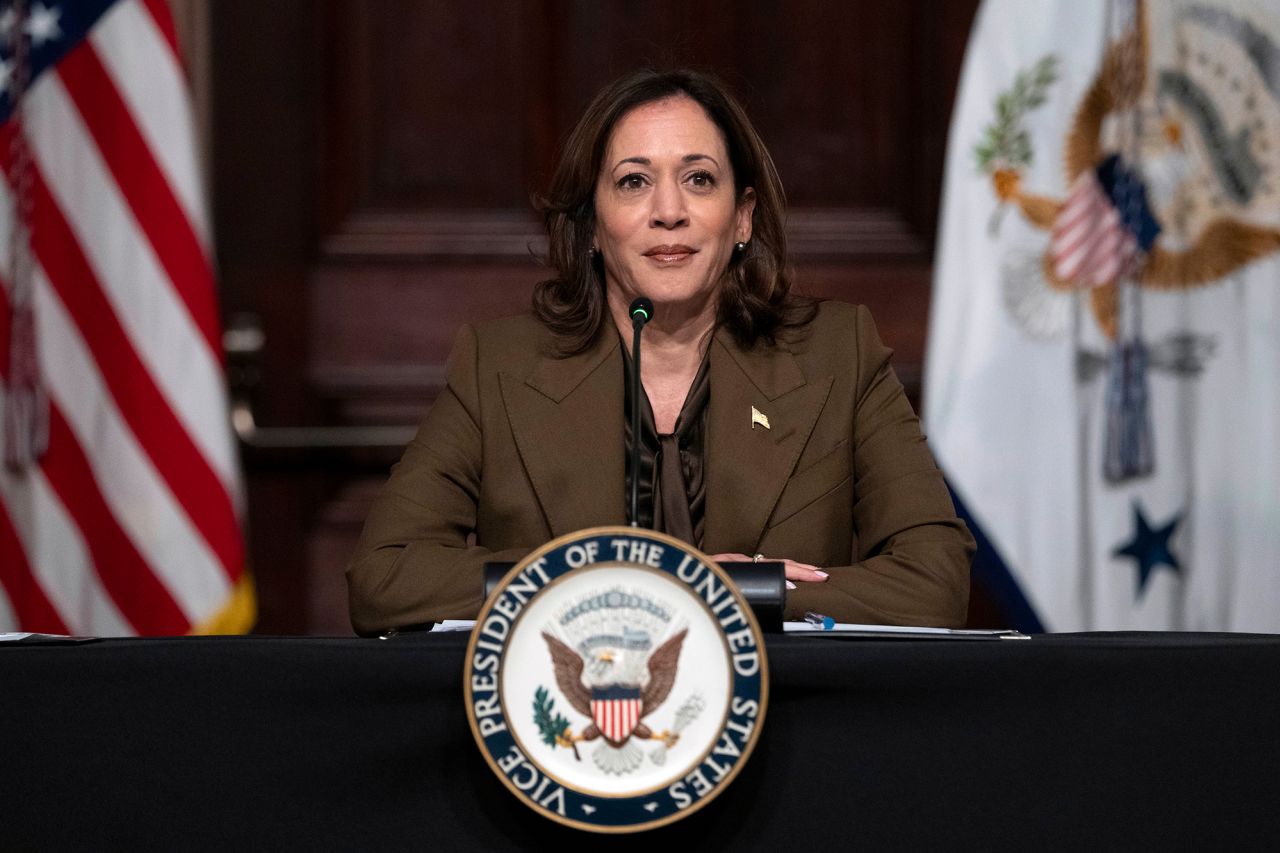 Vice President Kamala Harris speaks on February 27, in Washington, DC. 