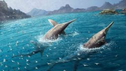 An illustration depicts how a giant pair of swimming Ichthyotitan severnensis may have appeared 202 million years ago.