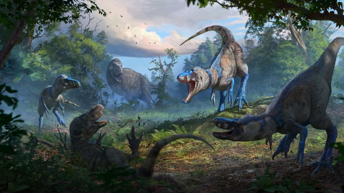 En esta ilustración, una manada de Nanotyrannus ataca descaradamente a un T. rex joven.