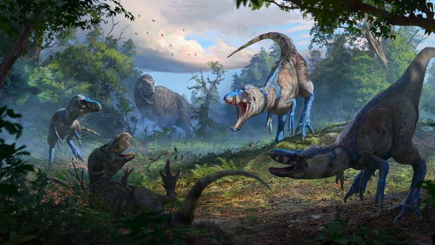 A pack of Nanotyrannus brazenly attacks a juvenile T. rex in this illustration.