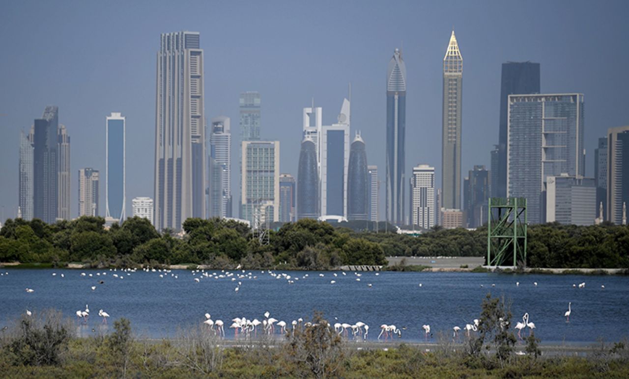 The skyline of Dubai seen on March 18.