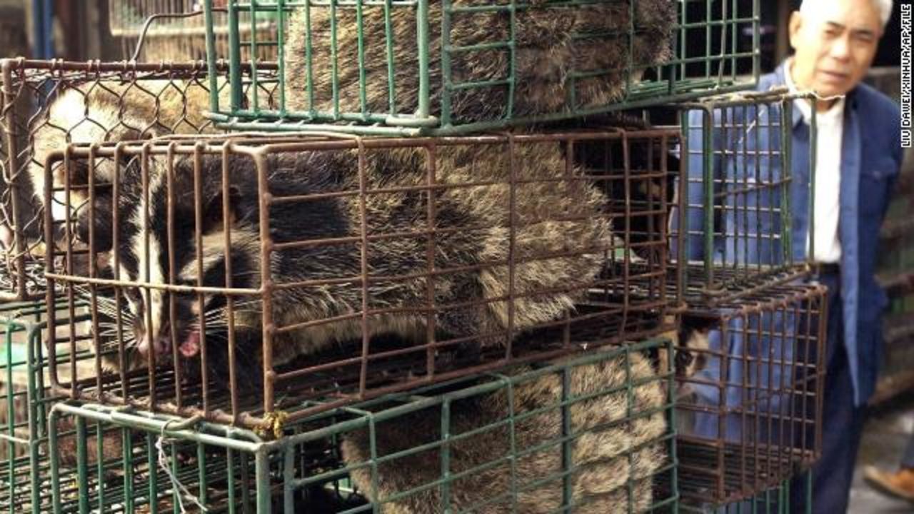 This file photo shows civet cats -- which scientists have linked to the 2003 SARS outbreak -- for sale at a market in China.