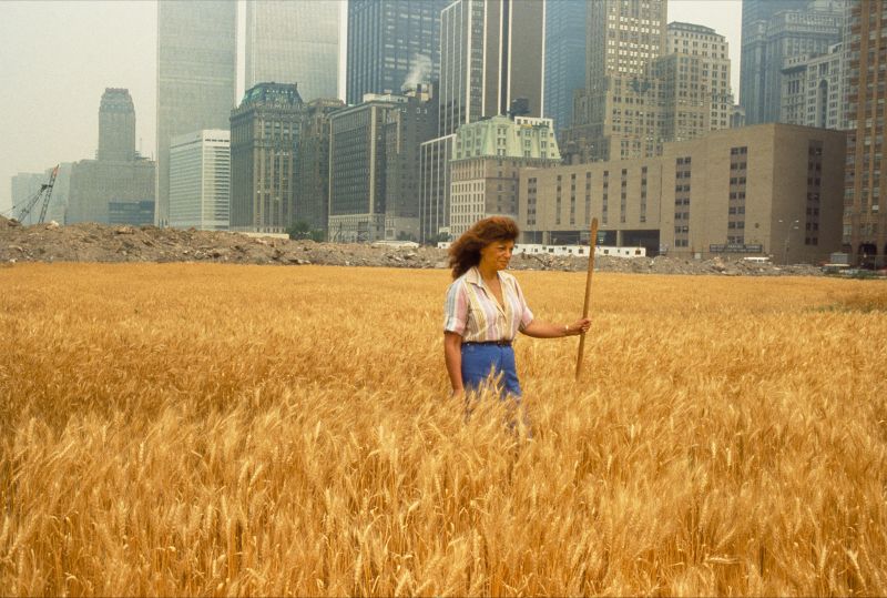 Wheatfield': Agnes Denes has reimagined her landmark artwork | CNN