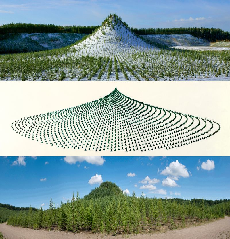 Wheatfield': Agnes Denes has reimagined her landmark artwork | CNN