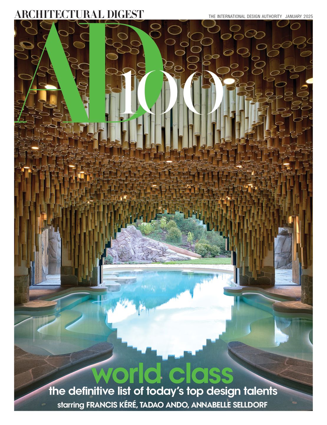 The cover for the latest AD100 list features an elaborate tropical-style pool set within a Swiss chalet.