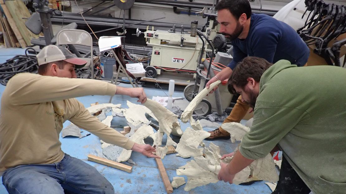 Study authors Brock Sisson (left) and Joseph Sertich (top, right) and technician Ben Meredith use casts of the real bones to reconstruct the skull of Lokiceratops.