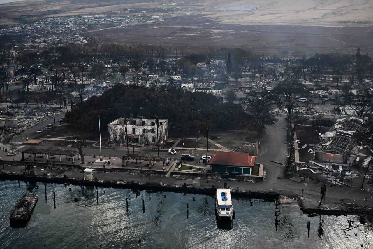 An aerial view shows the historic Banyan Tree along with destroyed homes, boats, and buildings burned to the ground in western Maui in Lahaina, Hawaii, on August 10.