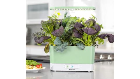 AeroGarden Harvest Indoor Garden With LED Grow Light