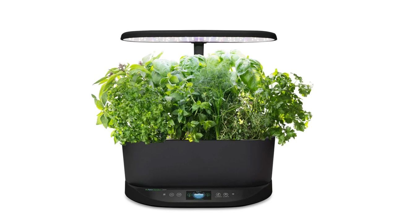 AeroGarden Bounty product card cnnu.jpg