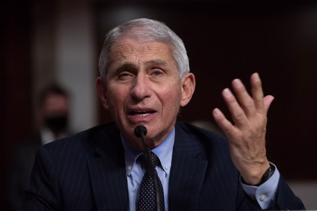 Director of the National Institute of Allergy and Infectious Diseases, Anthony Fauci, testifies during a US Senate Senate Health, Education, Labor, and Pensions Committee hearing in Washington, DC, on September 23.