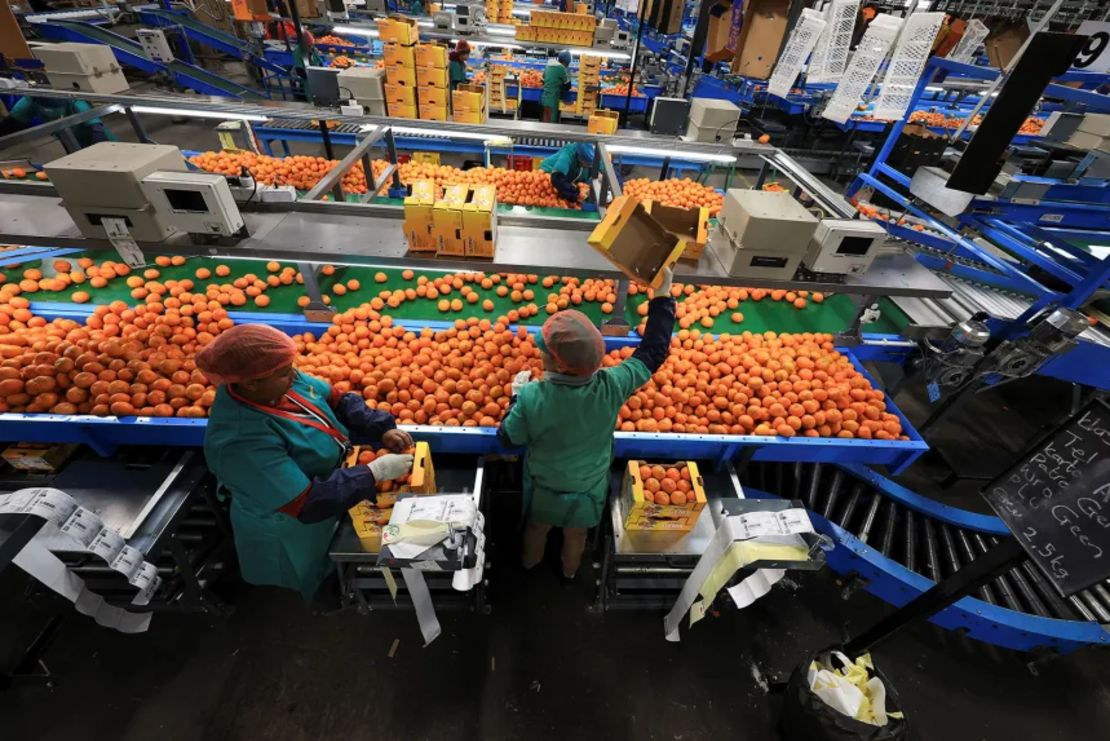 Trabajadores de distribución empacan mandarinas en Goede Hoop Citrus en Citrusdal, provincia del Cabo Occidental, Sudáfrica, el 9 de julio de 2025.
