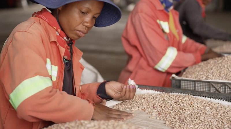 Reducing hunger in Africa