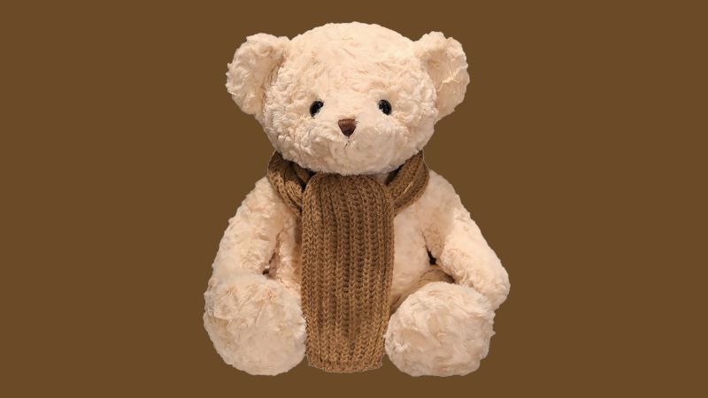 AI teddy bear pulled after giving sex advice | CNN Business