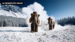 This AI-generated image, from an OpenAI Sora video, shows woolly mammoths treading through snow.